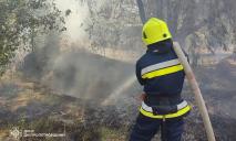 На Дніпропетровщині минулої доби вогнеборці ліквідували 3 масштабні пожежі