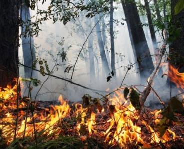 На Дніпропетровщині досі зберігається високий рівень пожежної небезпеки