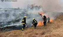 Стовп диму видно за кілометри: біля Дніпра підпалили зарості очерету