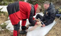 Спасатели спускали с Говерлы травмированного туриста из Днепра