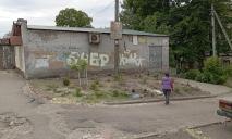 Жителька Дніпра самотужки облаштувала зелену зону на місці знесеного “ларька”