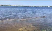 У центрі Дніпра вода відійшла від берега на 5 м: у чому справа