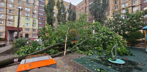 В Днепре на Победе деревья упали на детскую площадку, а на Тополе – на машины (ФОТО)