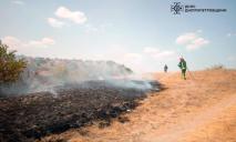 За сутки возникло 74 пожара в экосистемах Днепропетровщины: сохраняется V уровень опасности