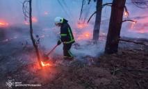 Вигоріло 3 гектари: у Павлоградському районі виникла лісова пожежа