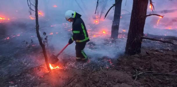 Выгорело 3 гектара: в Павлоградском районе возник лесной пожар