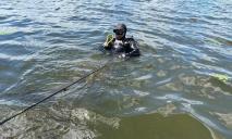 На Днепропетровщине в реке утонул 9-летний мальчик