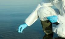 Спалахи холери у водоймах Дніпропетровщини: чи виявили збудники у червні