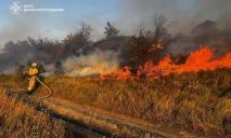 Масштабные пожары уничтожают экосистемы Днепропетровщины: сохраняется V уровень опасности