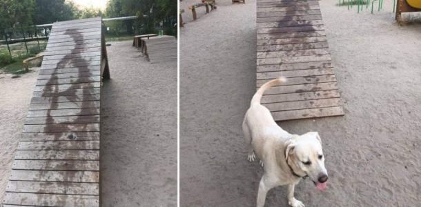 В Днепре на 12 квартале вандалы в очередной раз облили площадку для выгула собак машинной смазкой.