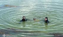 Вдруг исчез под водой: в Днепропетровской области утонул мужчина