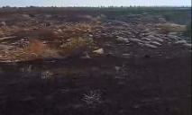 На Дніпропетровщині біля Токівського водоспаду вигоріла велика ділянка екосистеми