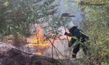 За двое суток огонь уничтожил более 100 га экосистем Днепропетровщины: сохраняется V уровень опасности
