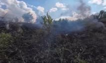 Возгорание почти дошло до домов: в Днепре местные самостоятельно тушили пожар на сухостое