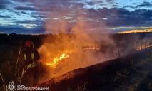 За двое суток в экосистемах Днепропетровщины возникло более 150 пожаров: сохраняется V уровень опасности