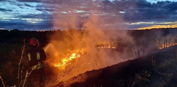 За двое суток в экосистемах Днепропетровщины возникло более 150 пожаров: сохраняется V уровень опасности