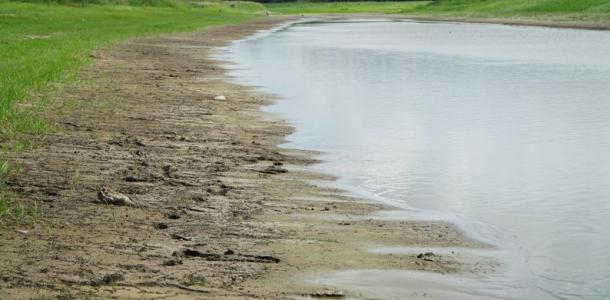 Обмеление реки Саксагань на Криворожье: вернется ли вода и когда
