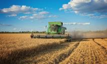 Спека знищила частину урожаю: скільки зернових вже зібрали на Дніпропетровщині