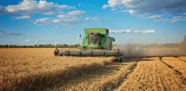 Жара уничтожила часть урожая: сколько зерновых уже собрали на Днепропетровщине