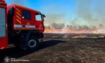 Огонь продолжает уничтожать экосистемы Днепропетровщины: сохраняется V уровень опасности