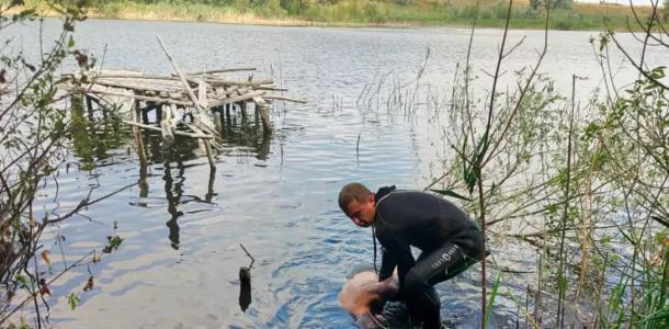 На Днепропетровщине утонул мужчина во время купания в пруду