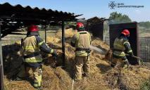 На Дніпропетровщині загасили пожежу на території приватного домоволодіння