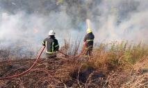 На Дніпропетровщині жінка обгоріла в полі, коли палила бур’яни