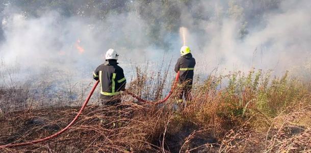 На Днепропетровщине женщина обгорела в поле, когда жгла сорняки