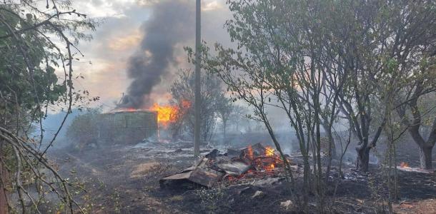 В Днепре масштабный природный пожар чуть не уничтожил приют для пострадавших от войны животных (ФОТО)