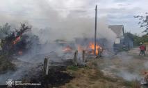 В Днепропетровской области от возгорания травы произошли масштабные пожары в жилом секторе